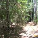 2012-May-05_HGR4X4_Richloam 286